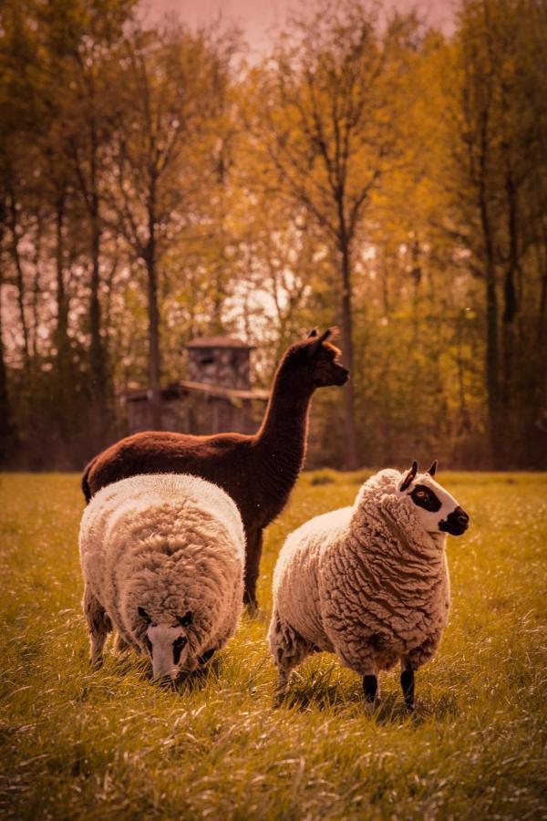 De Betze - Country Life Geetbets Exterior foto
